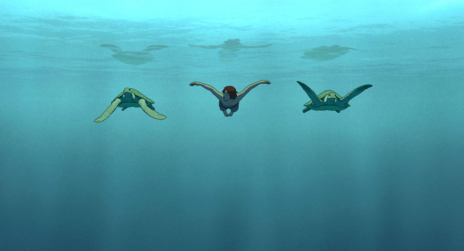 Photo du film La Tortue rouge Photo 5 sur 18 AlloCiné