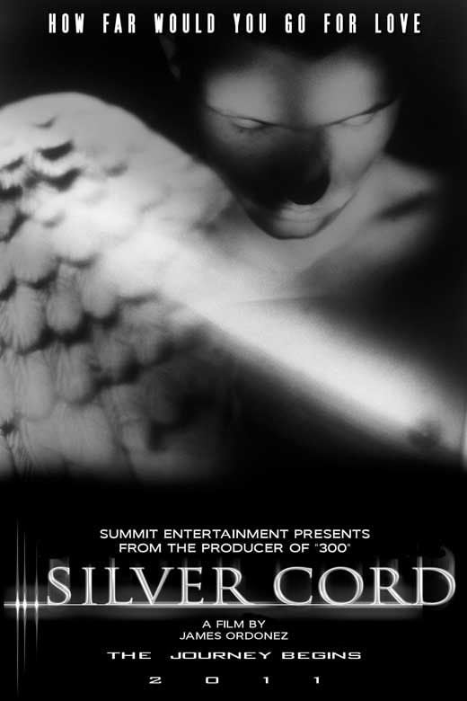 Silver Cord streaming fr