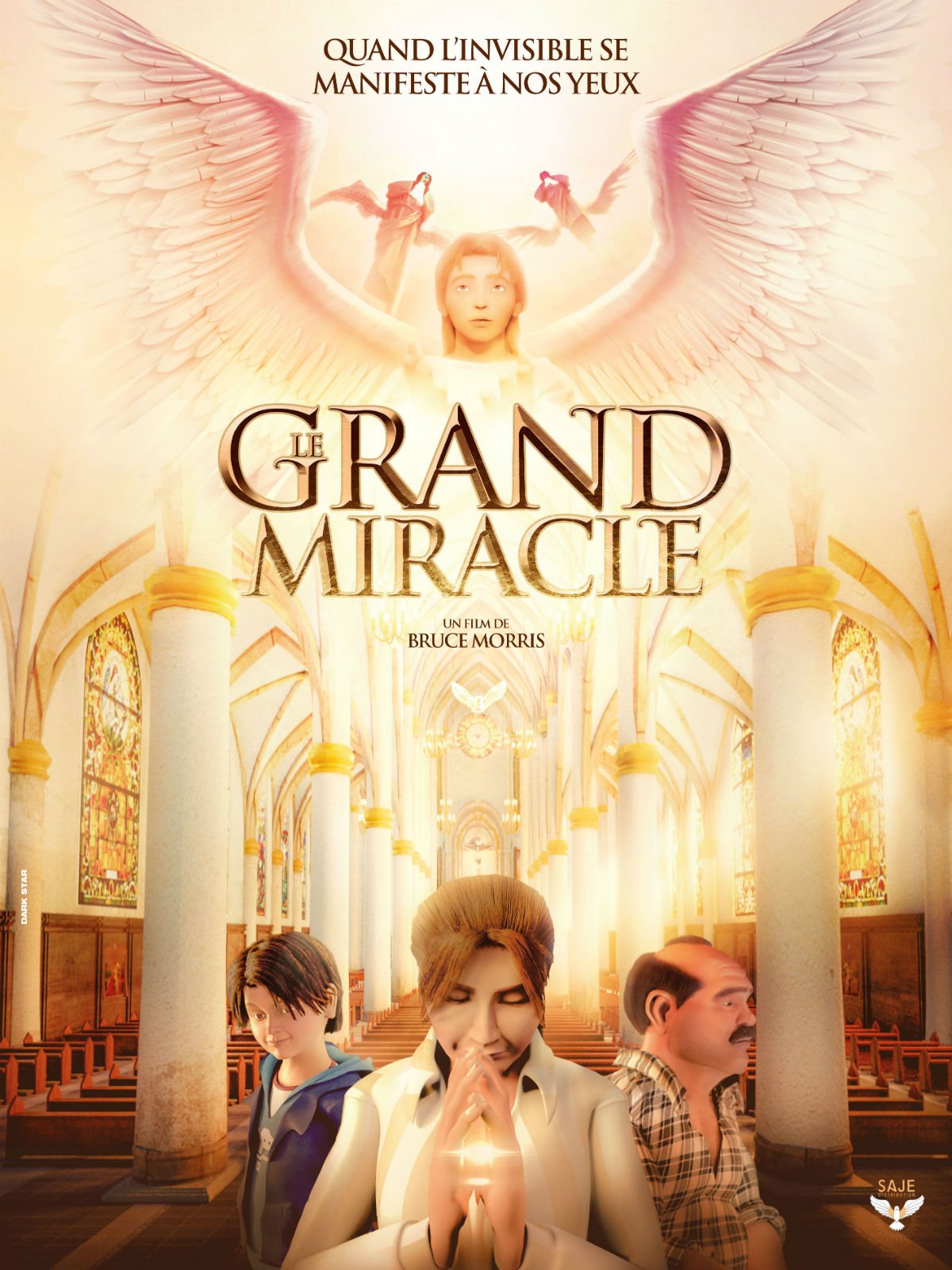 Le Grand Miracle en DVD : Le Grand miracle - AlloCiné