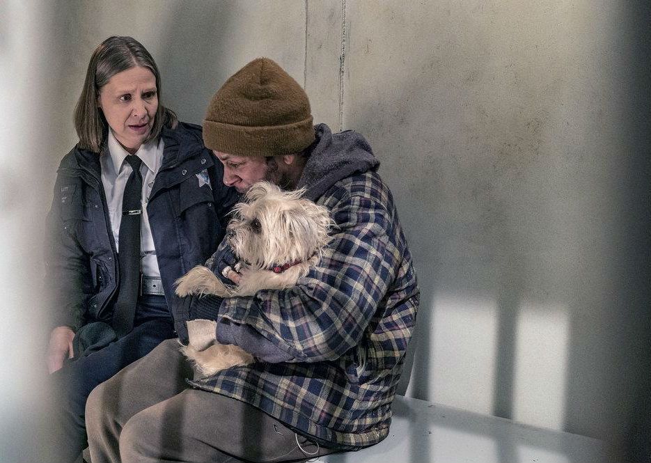 Chicago Police Department Saison 6 Streaming Chicago Police Department : Photo Amy Morton - 397 sur 963 - AlloCiné
