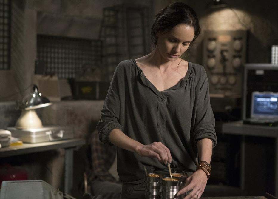 Films Et Séries Tv Avec Sarah Wayne Callies Photo de Sarah Wayne Callies - Photo Sarah Wayne Callies - AlloCiné