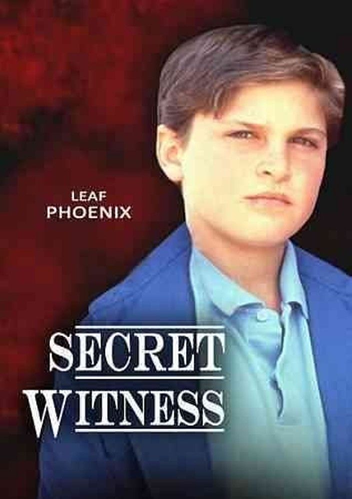 Secret Witness streaming gratuit