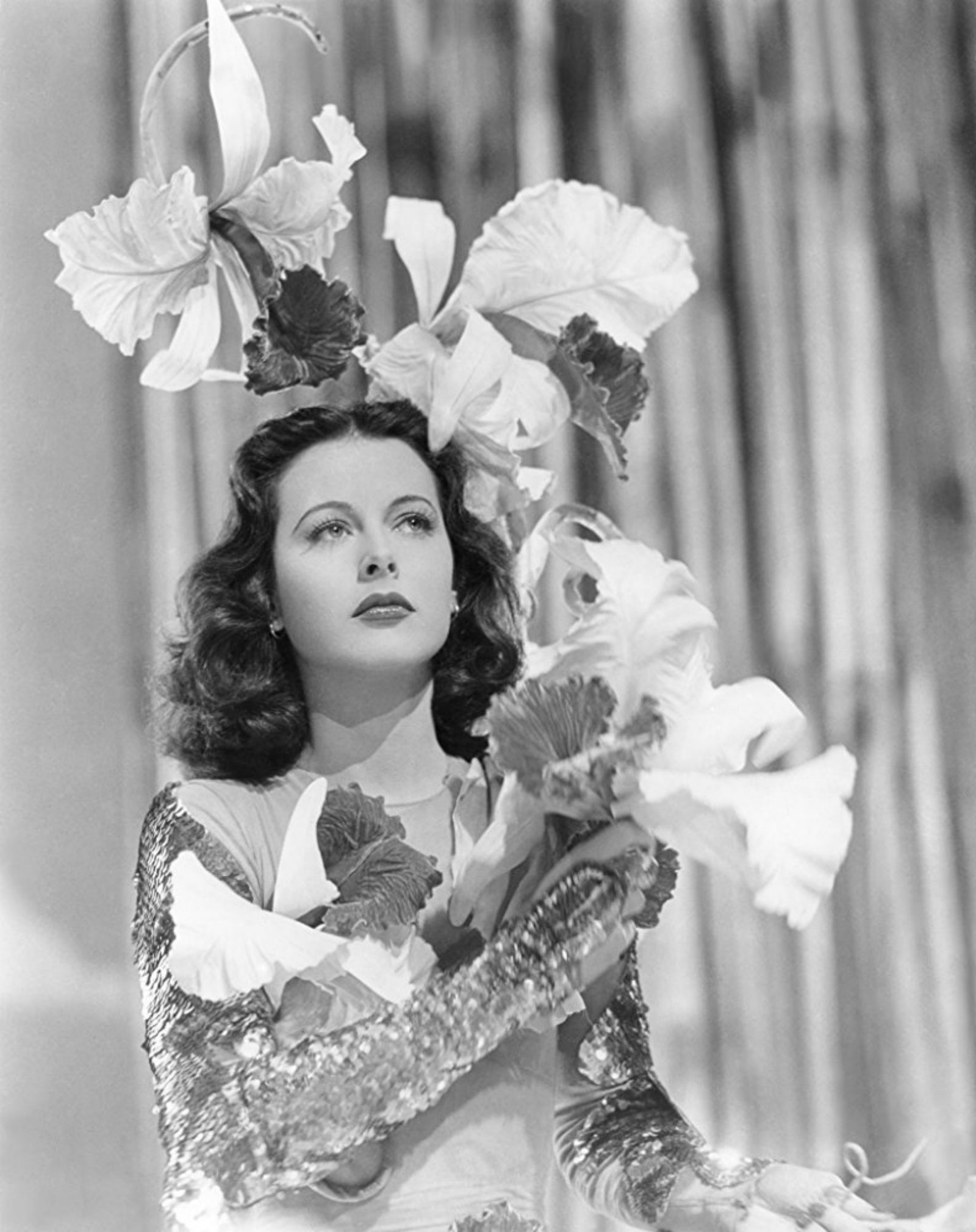 Photo du film La Danseuse des Folies Ziegfeld - Photo 2 sur 7 - AlloCiné