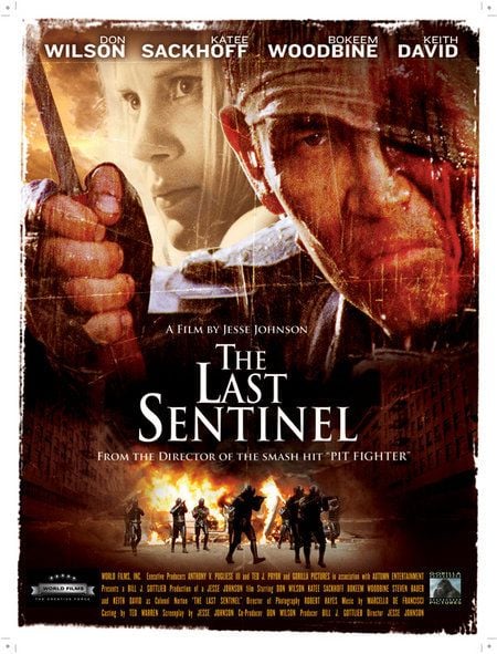 The Last Sentinel streaming fr