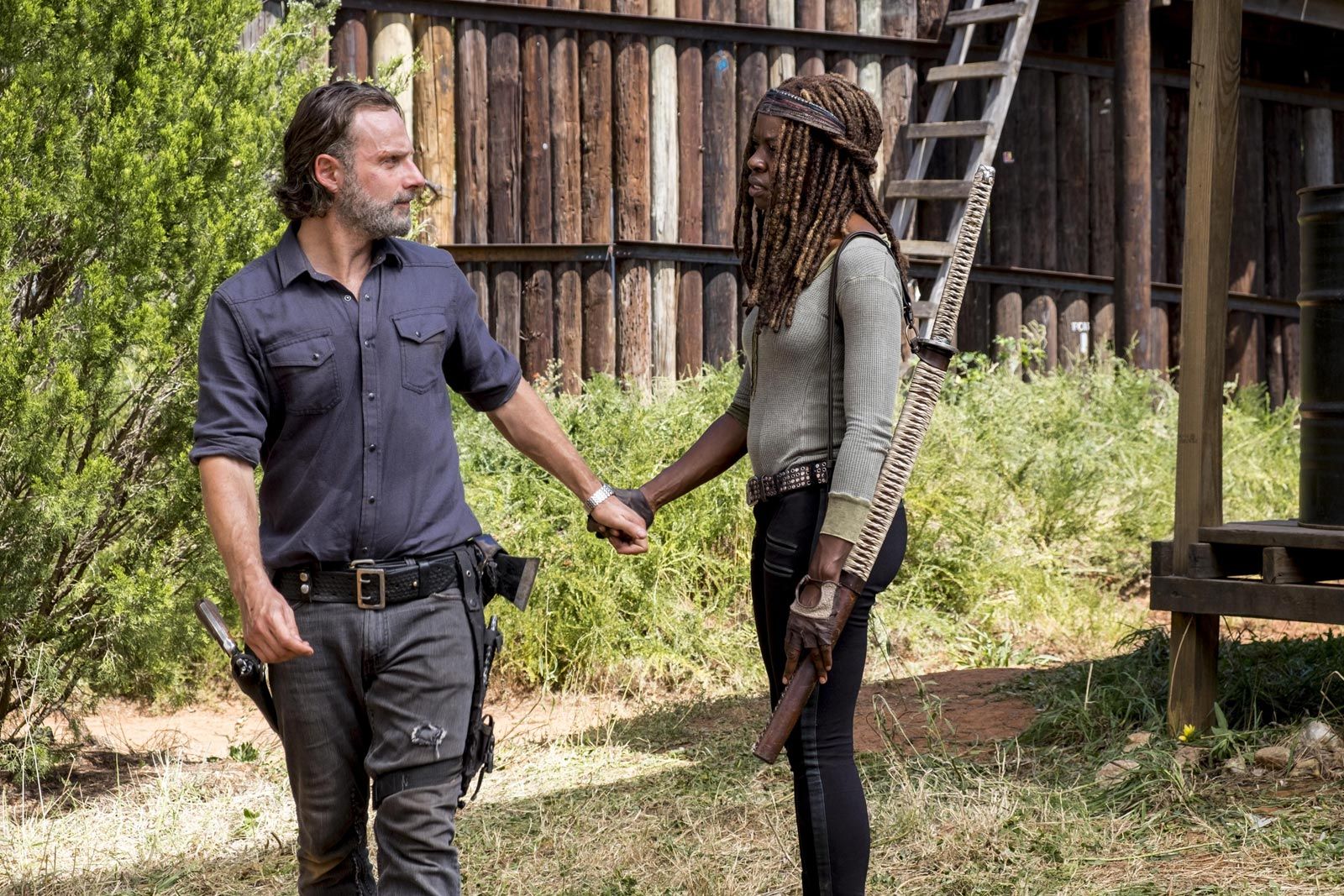 Goodbye, Michonne: Danai Gurira Is Leaving The Walking Dead On AMC After Season 10 Goodbye, Michonne: Danai Gurira Is Leaving The Walking Dead On AMC After Season 10