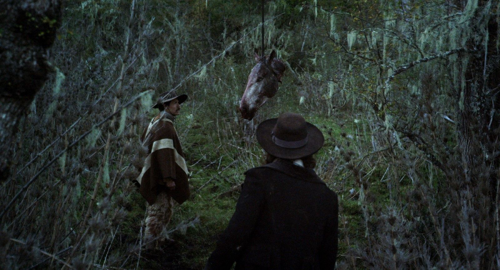 Photo du film Rey, l'histoire du Français qui voulait devenir Roi de
