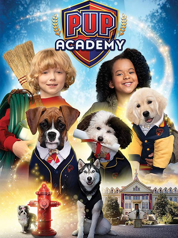Pup Academy Season 3 On Netflix inspire ideas 2022