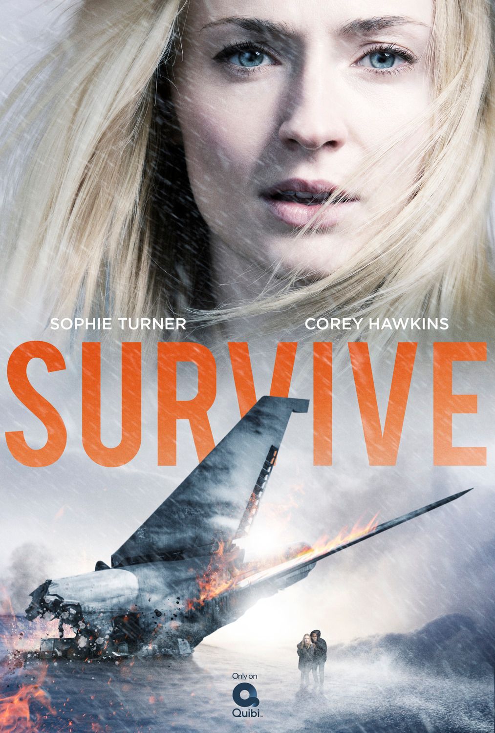 Survive S Rie TV 2020 AlloCin   2499225 