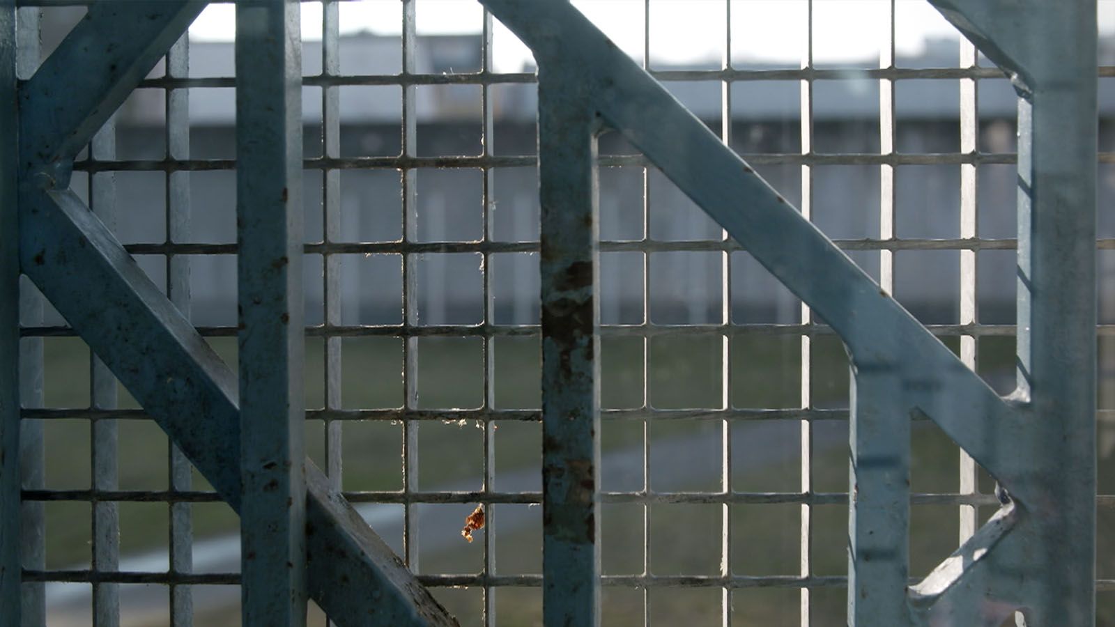 Photo du film Aije le droit d’avoir des droits ? Photo 5 sur 6 AlloCiné