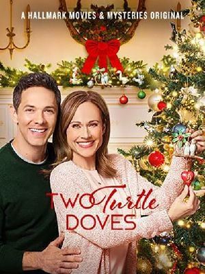 Les 12 traditions de Noël streaming gratuit