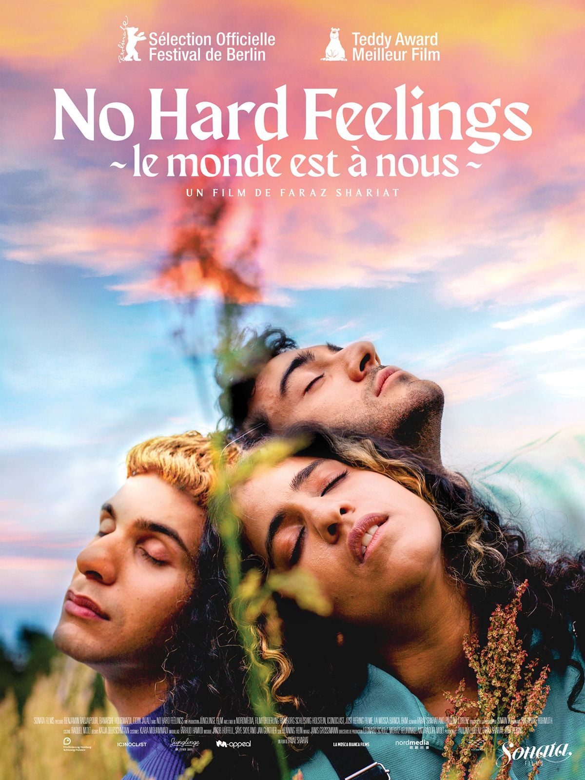 No hard feelings - Le Monde est à nous streaming gratuit