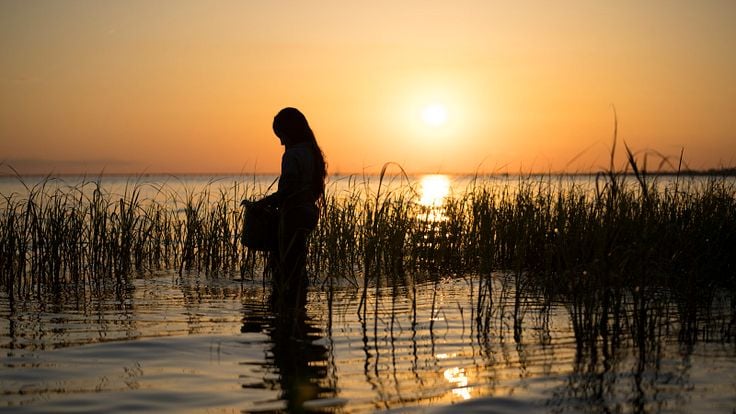 Where the Crawdads Sing