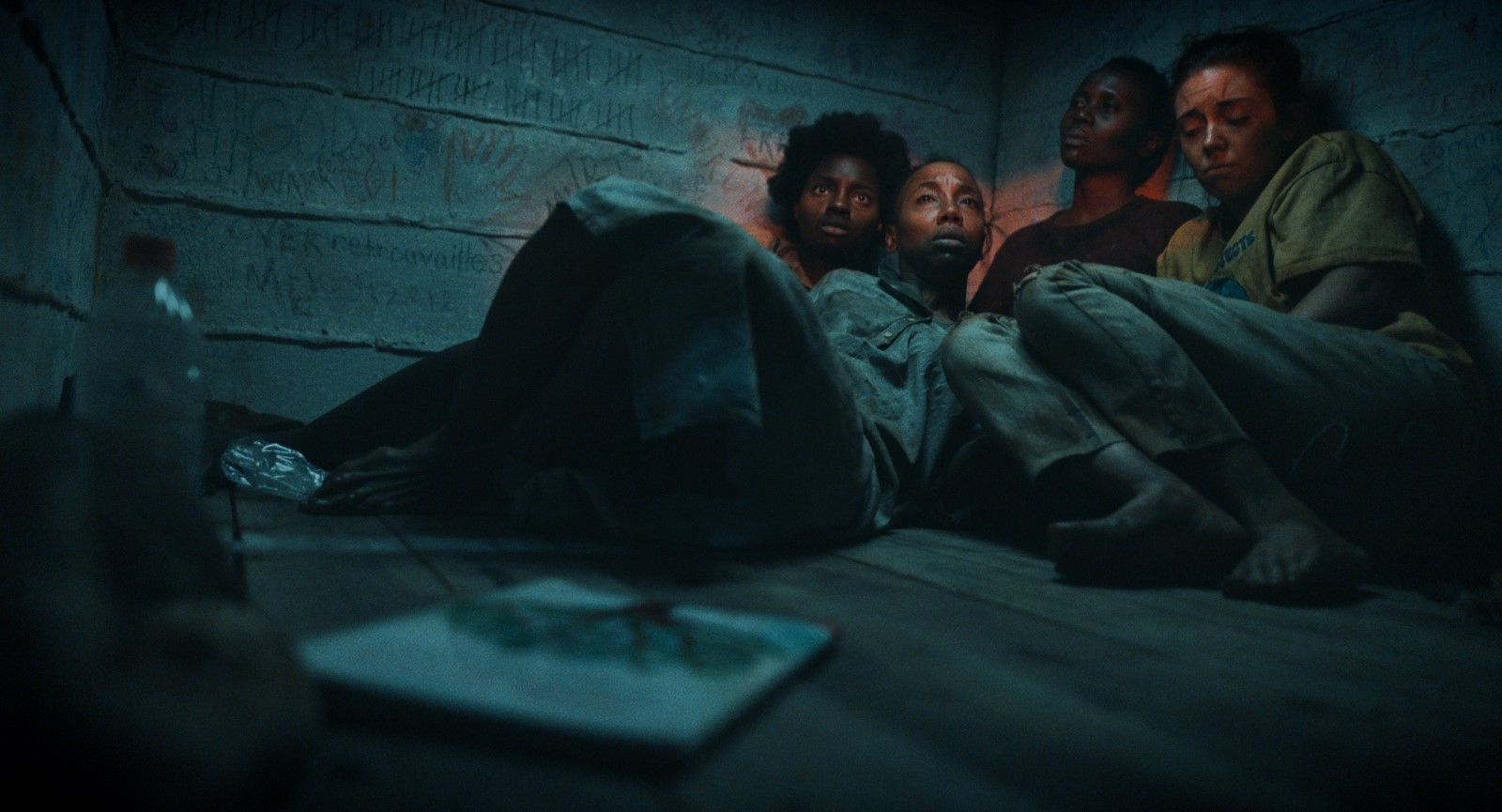 Photo du film Les Arbres de la paix - Photo 5 sur 6 - AlloCiné