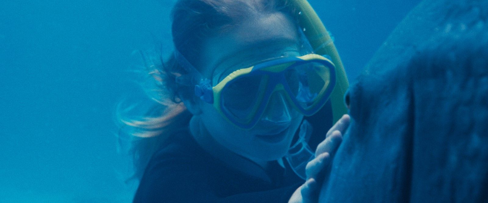 Photo du film Blueback – une amitié sous-marine - Photo 4 sur 17 - AlloCiné