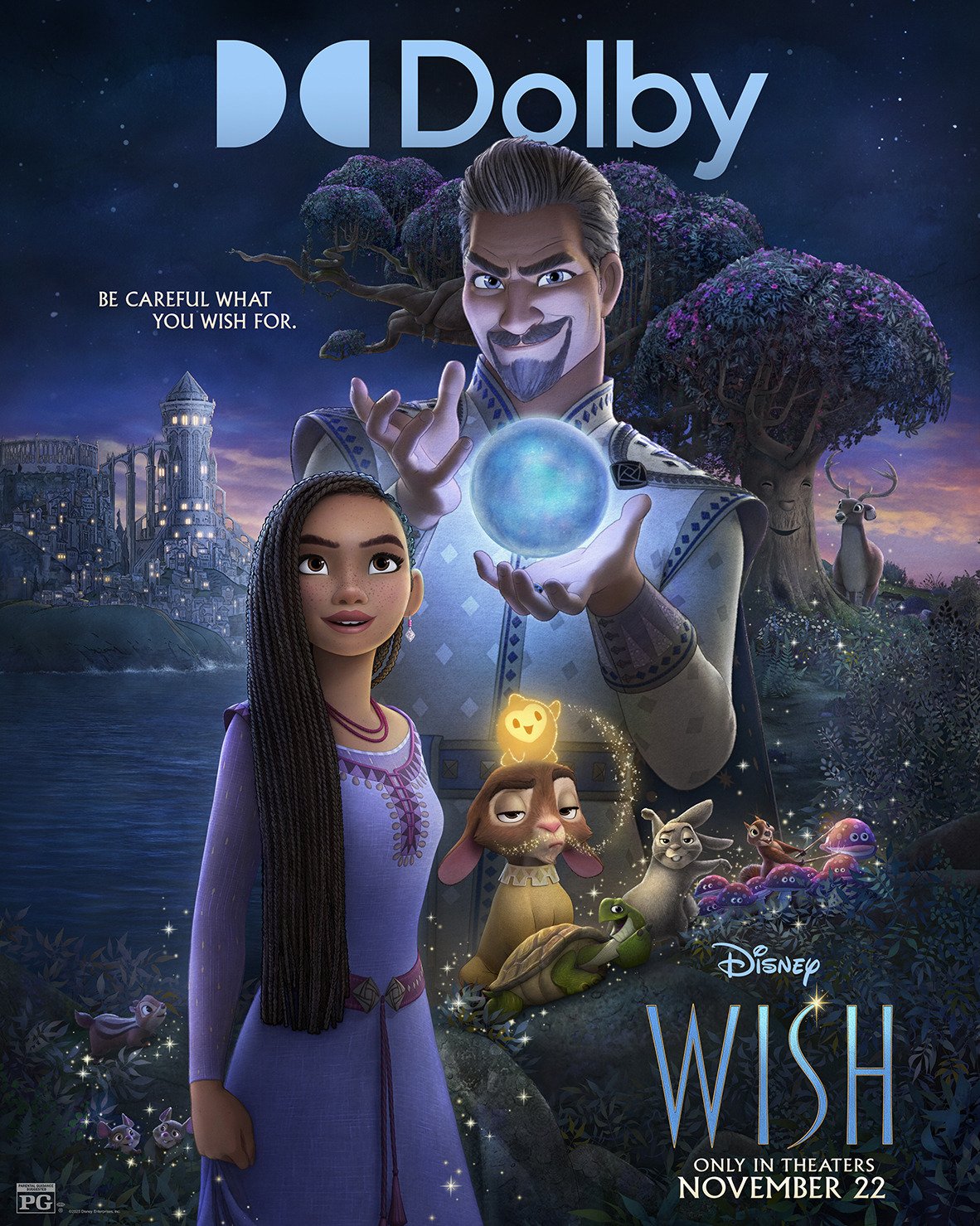 Affiche du film Wish Asha et la bonne étoile Photo 23 sur 33 AlloCiné