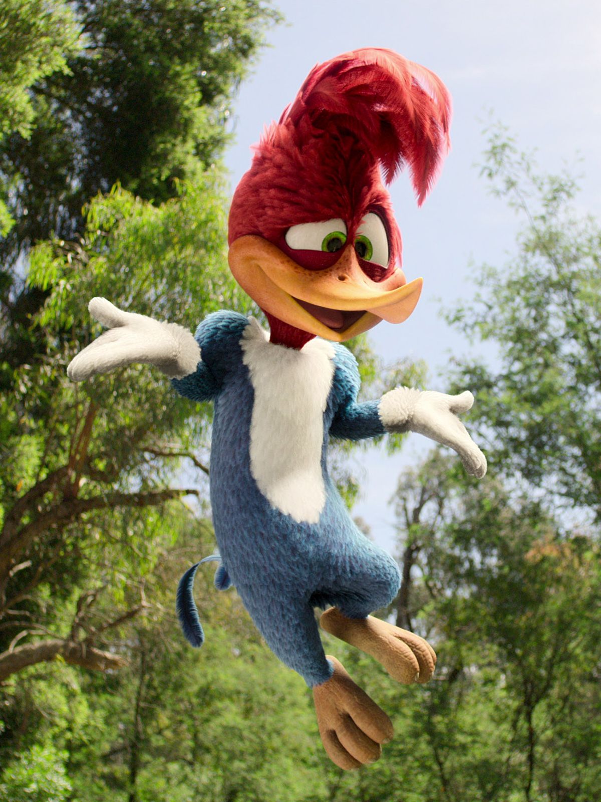 Affiche du film woody woodpecker alerte en colo photo 11 sur 12