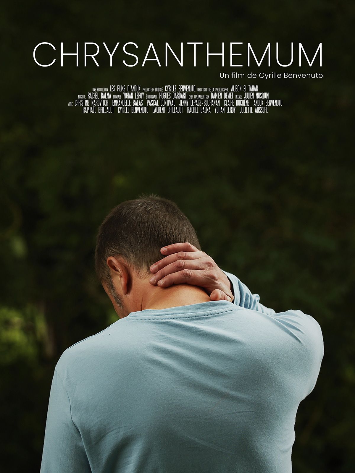 Chrysanthemum streaming gratuit