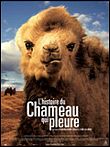 Un dimanche au cinéma