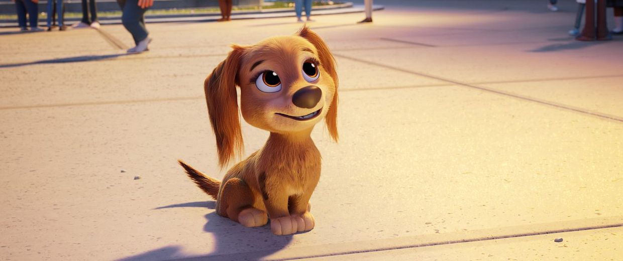 Nouveau Chien Pat Patrouille Le Film
