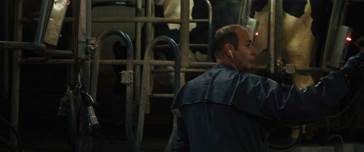 Un été à la ferme : Photo