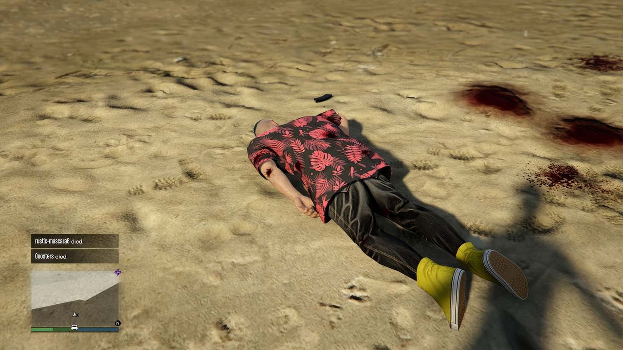 Grand Theft Hamlet : Photo