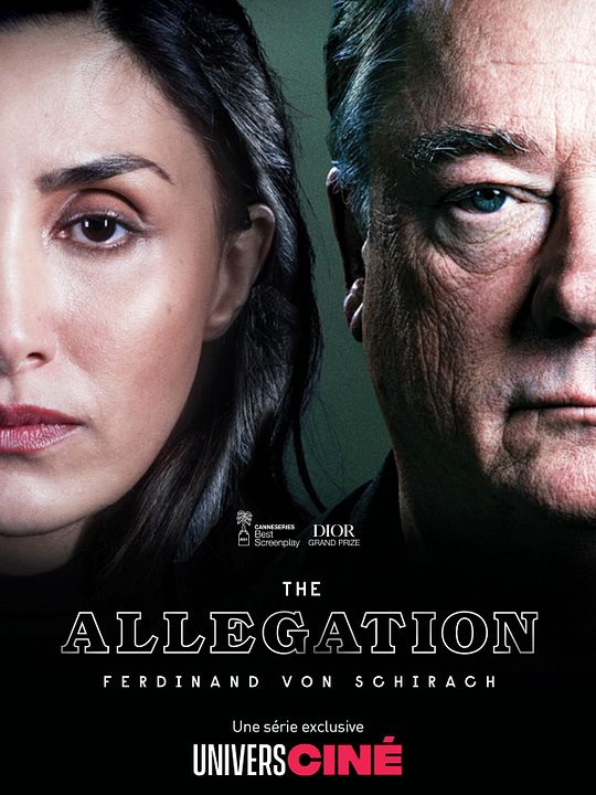 The Allegation : Affiche