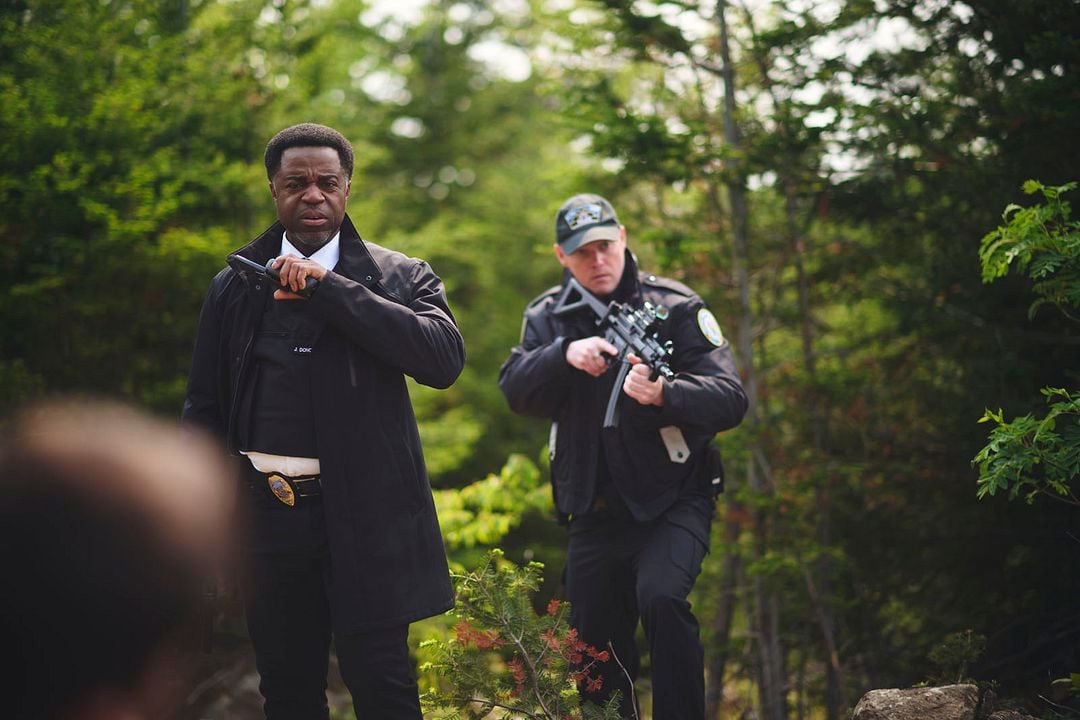 Hudson et Rex : Photo Kevin Hanchard