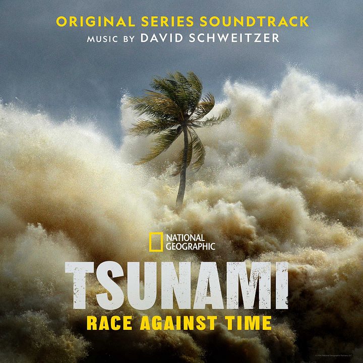 Tsunami 2004 : La vague mortelle : Affiche