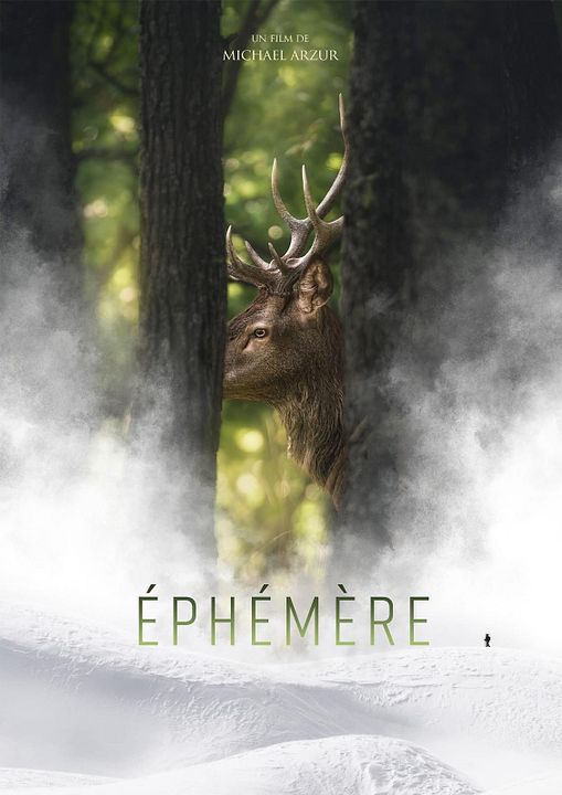Ephémère : Affiche