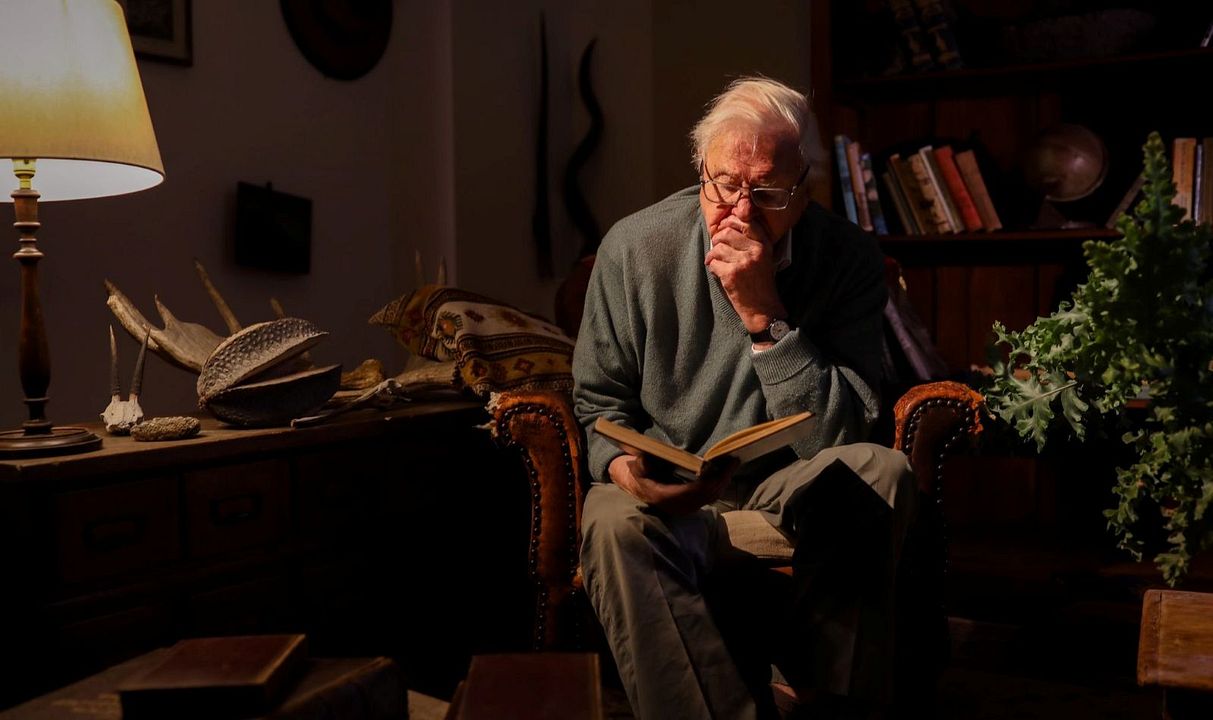 Une histoire de gorilles avec David Attenborough : Photo David Attenborough