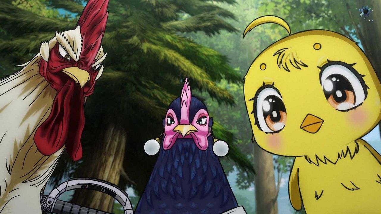 Rooster Fighter : Photo