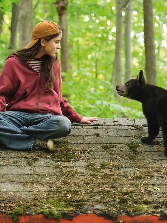 Melody pour un ours : Affiche