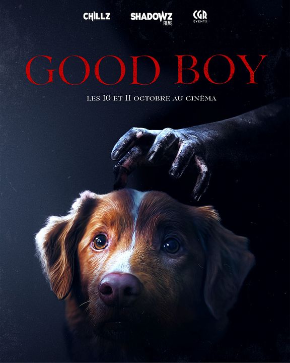 Good Boy : Affiche