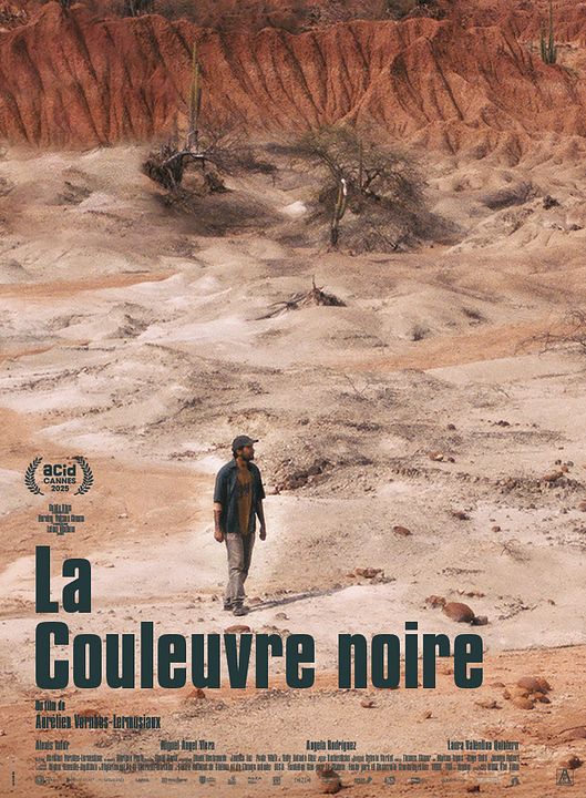 La Couleuvre noire : Affiche