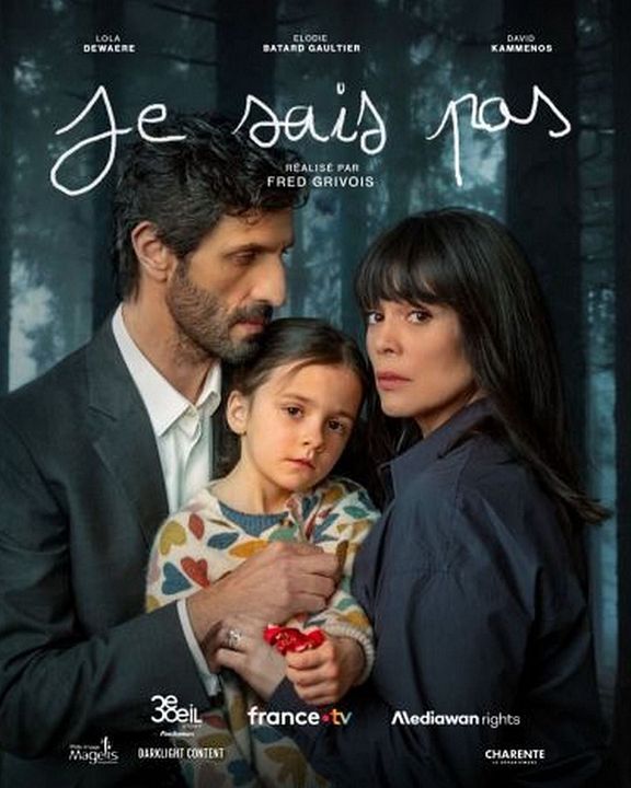 Je sais pas : Affiche