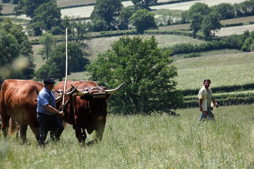 C'est le monde à l'envers ! : Photo Michaël Youn