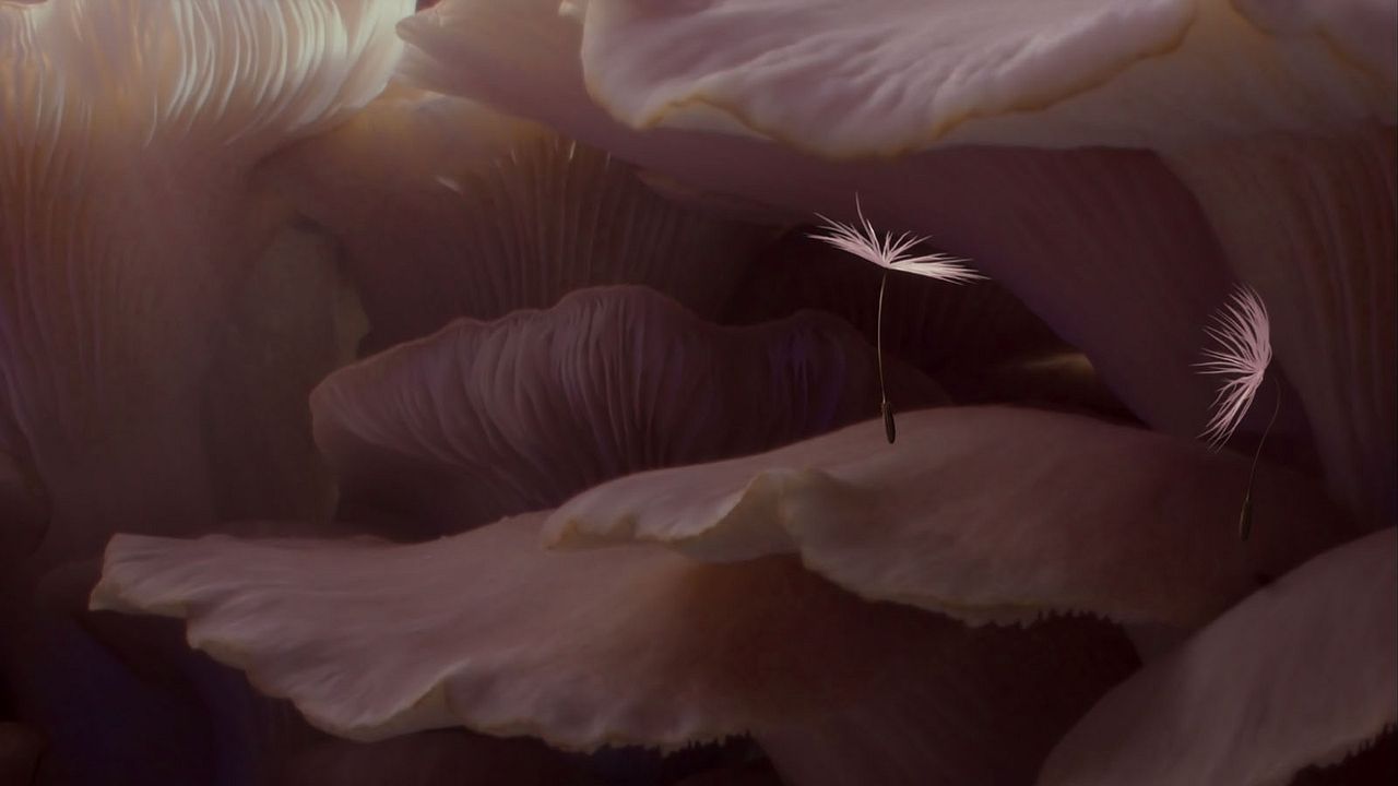 Planètes : Photo