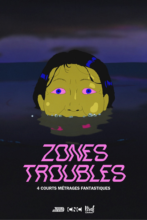 Zones Troubles : Affiche