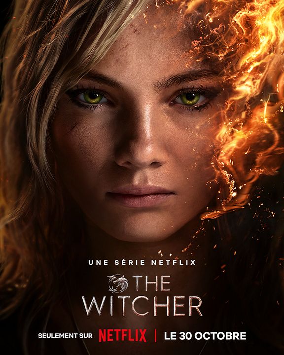 The Witcher : Affiche