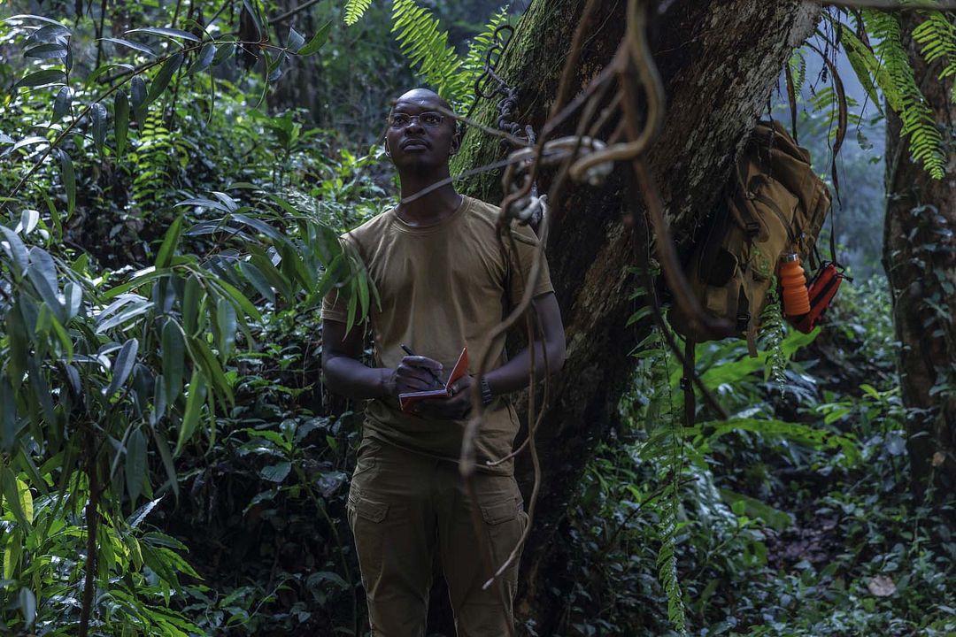 Le Grand déplacement : Photo Alassane Diong