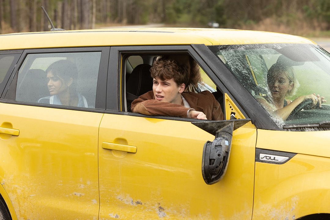 Permis de Conduire : Photo