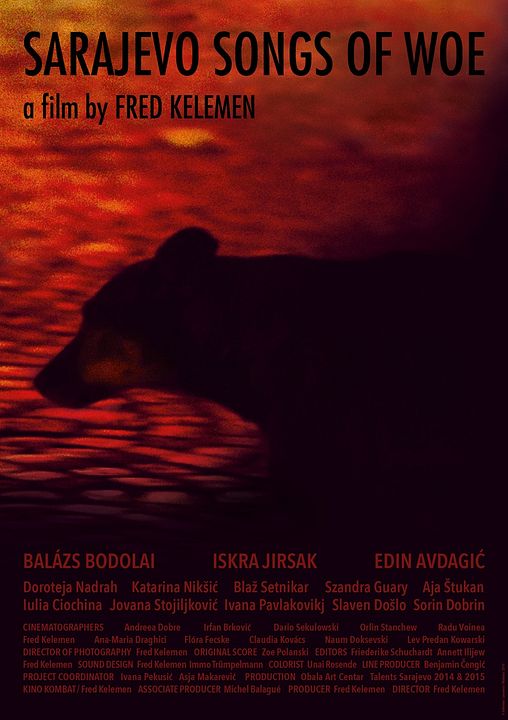 Sarajevo Songs of Woe : Affiche