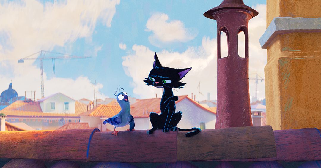 Nero, chat noir : Photo