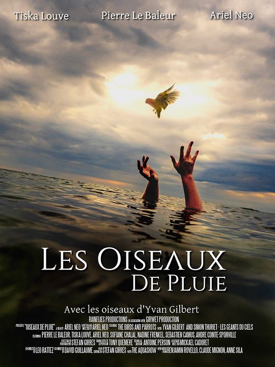 Les Oiseaux de Pluie : Affiche