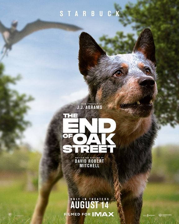 La fin d’Oak Street : Affiche