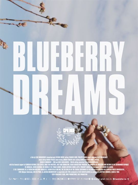 Blueberry Dreams : Affiche