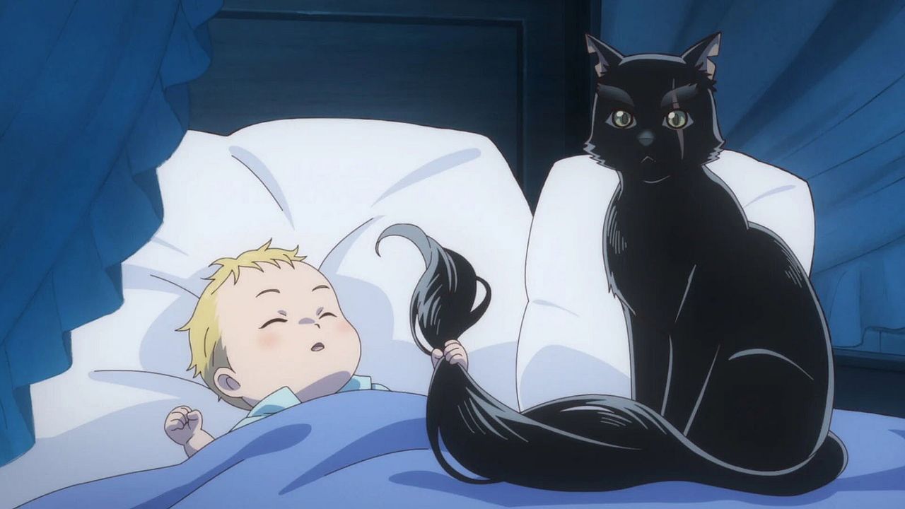 Cats and Dragon : Photo