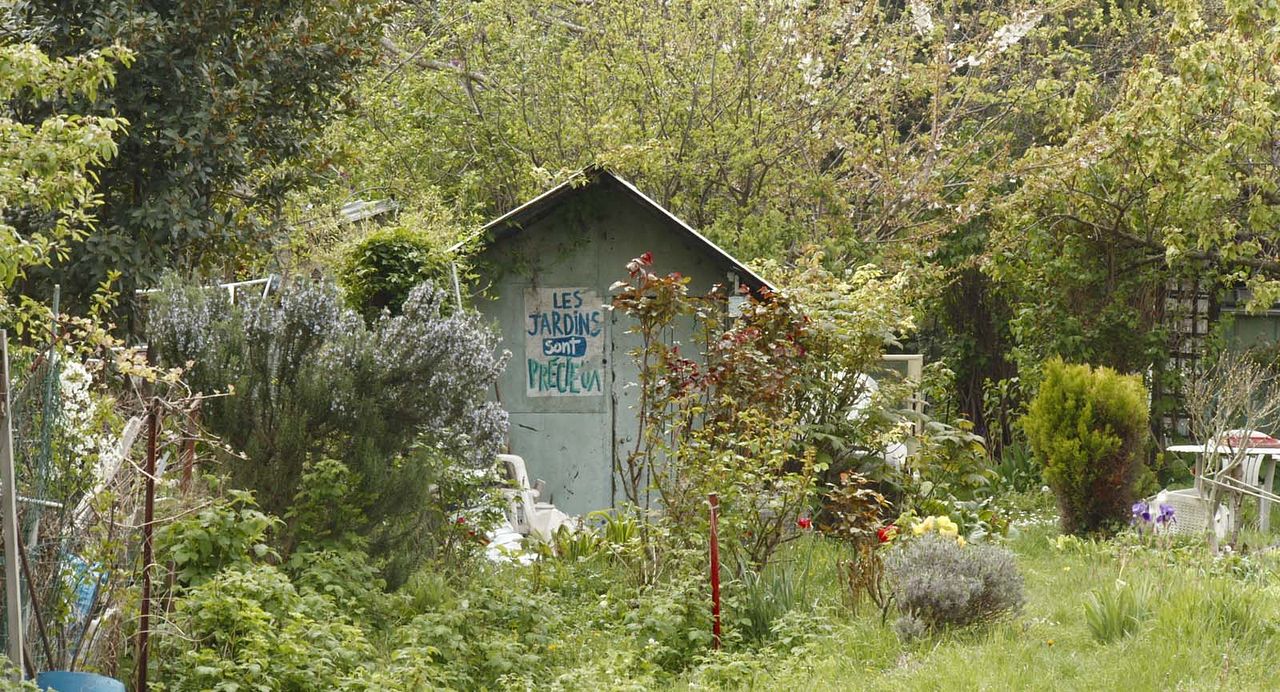 La Terre des vertus : Photo