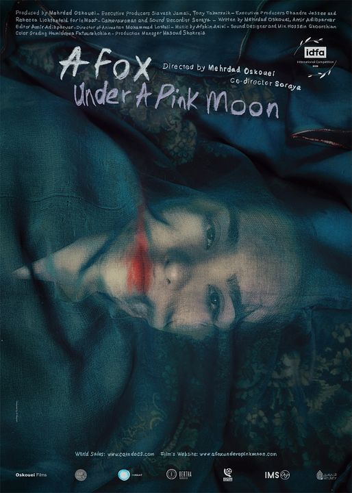 Un renard sous une lune rose : Affiche
