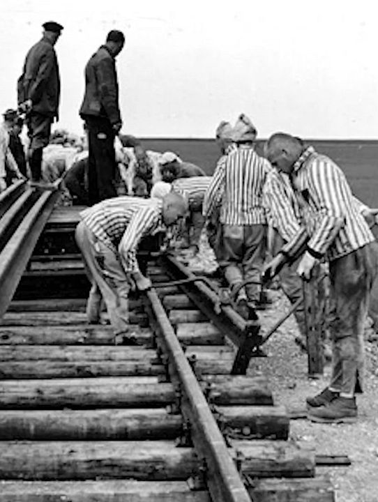 Triangles Rouges à Buchenwald : Affiche